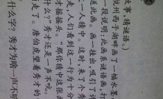 秀才翘尾巴打一个字,秀才翘尾巴字谜背后的趣味与智慧”