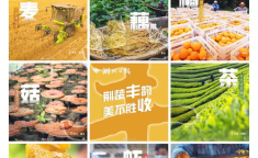 丰收打一字答案,一字解密“移”字的奥秘